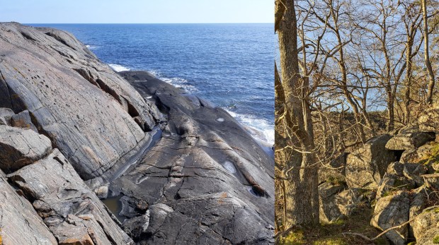 Store kontraster. Svaberg med spylerenner på Mærdø, eikeskog og ur midt inne på Tromøya.