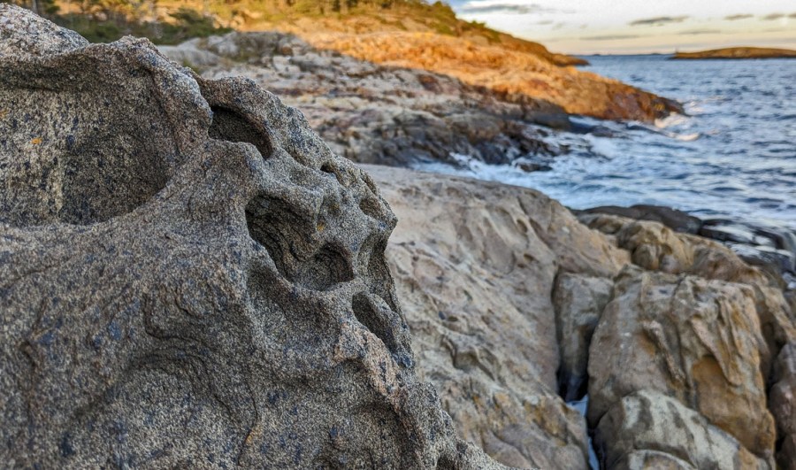 Bisarre tafoniformer i Korshavn på Flosta. Foto: PS