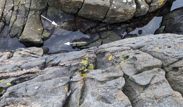 Nedfall av mineralkorn (piler) etter en episode med ising på en brattkant med tafoni. Spornes, Tromøy. Foto: PS