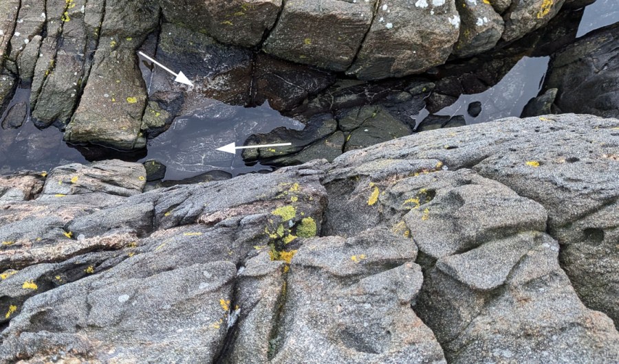 Nedfall av mineralkorn (piler) etter en episode med ising på en brattkant med tafoni. Spornes, Tromøy. Foto: PS