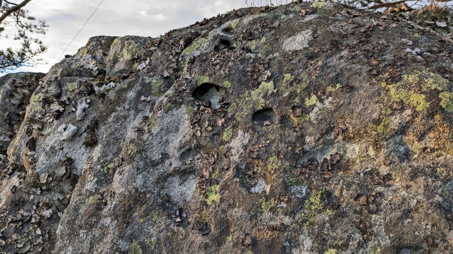 Vardåsen. Liten tafoniforekomst på Tromøys høyeste punkt. Foto: PS