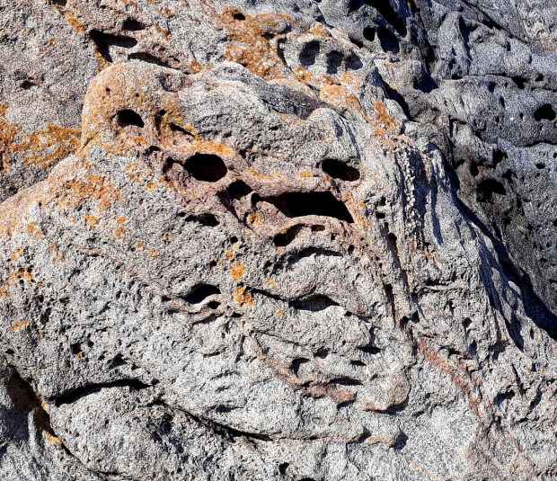 Jabba the Hutt. Tafoni on the south coast of Norway. Photo by Per Storemyr