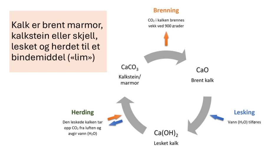 Kalksirkelen. Grunnlaget for alt kalkarbeid!