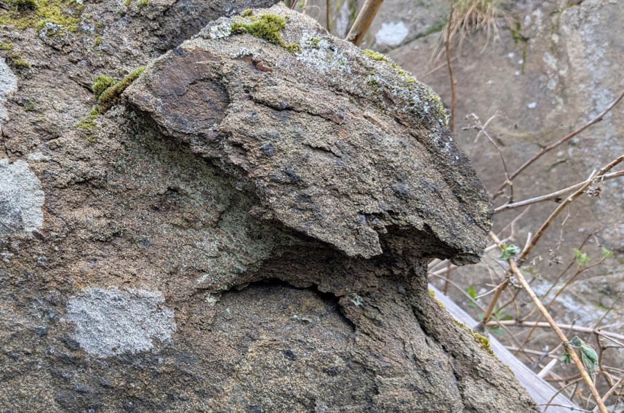 Forvitret gabbro med former som en gang kan ha vært tafoni. Foto: PS