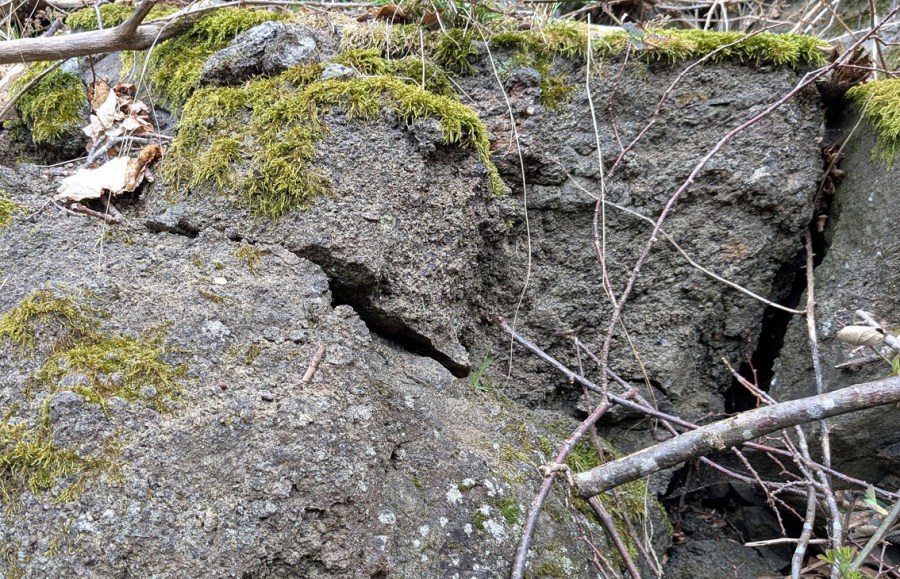 Blokker med gjennomforvitret gabbro. Foto: PS