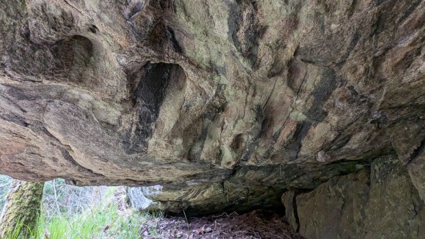 Heller med tafoni i taket. Foto: PS