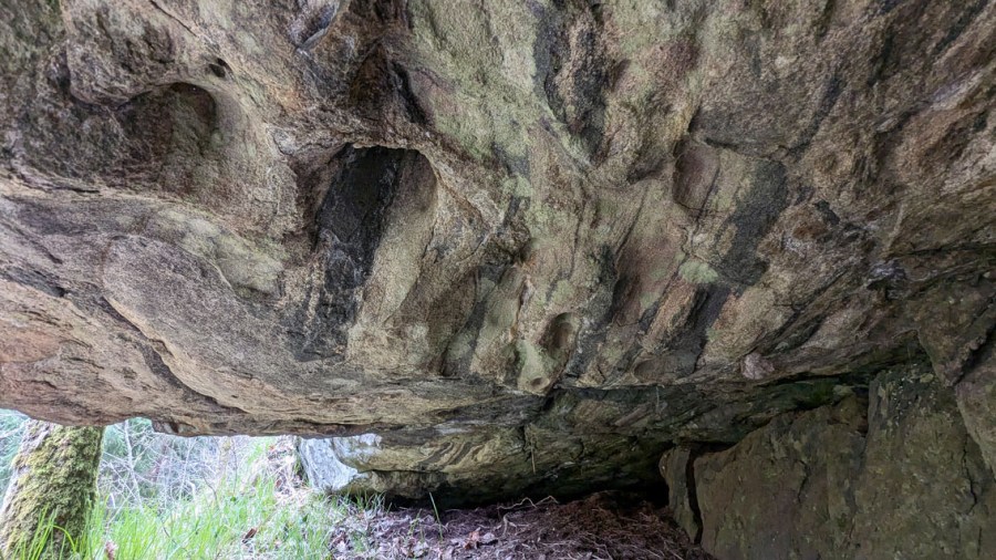 Heller med tafoni i taket. Foto: PS