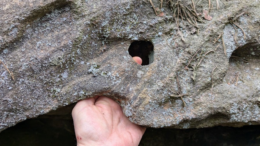 Gjennomforvitret tafonihull fra taket på helleren. Foto: PS