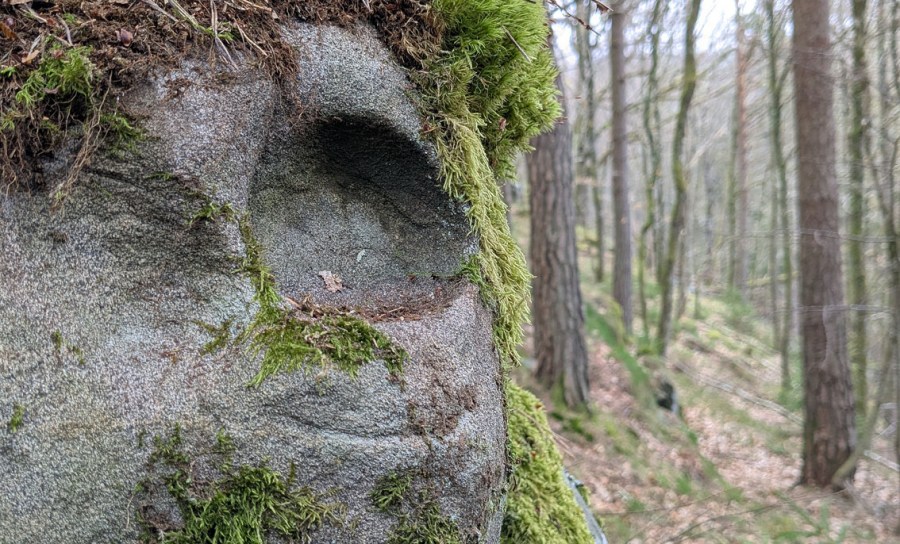 Tafone i gabbro på Flosta. Foto: PS