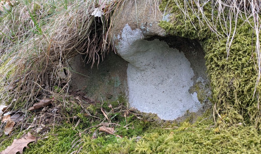 Tafoni i gabbro på Flosta. Foto: PS