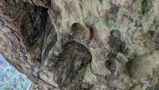 Tafoni i taket til en heller på Flosta. Foto: PS