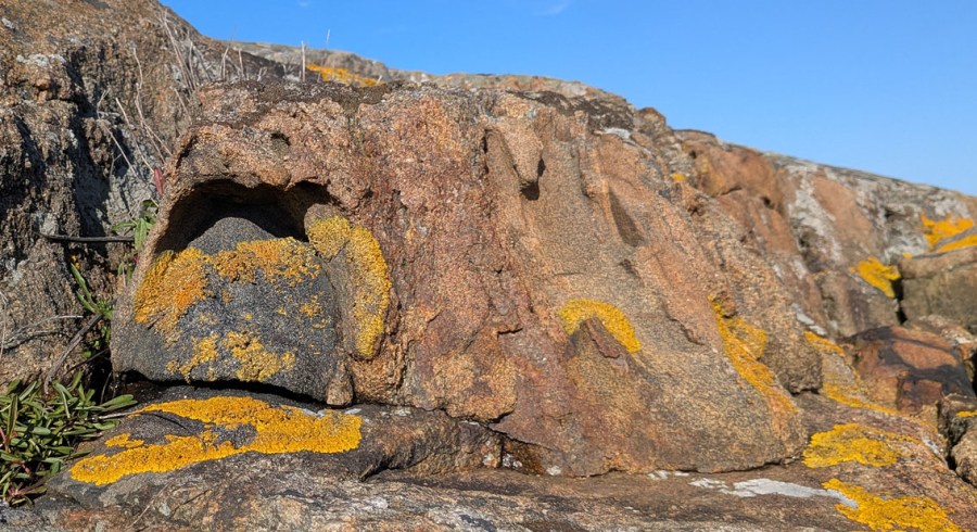 Tafoni på ytterkysten av Flosta. En ser at hullet har "vokst" oppover og innover. Delene dekket av lav er eksponert for regn. Foto: PS