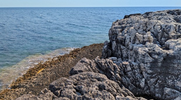 Small platform with biokarst below black-coloured limestone affected by waves. Photo by Per Storemyr 