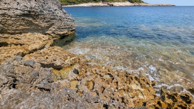 Biokarst on a small platform in the tidal zone by Plaža Limuni on the eastern tip of Mljet. The rugged surface is completely overgrown by barnacles. Photo by Per Storemyr