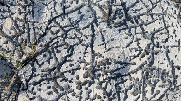 Biopitting in linear arrangement. Widt of image c. 50 cm. Photo by Per Storemyr