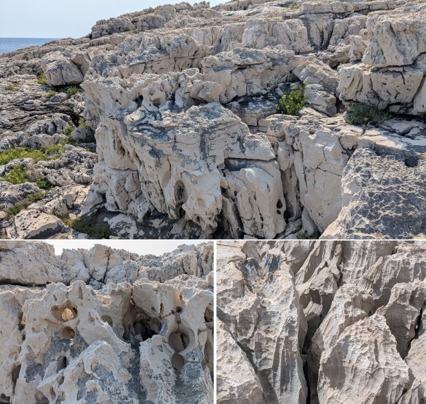 Karst between the tidal zone and the forest. Photo by Per Storemyr