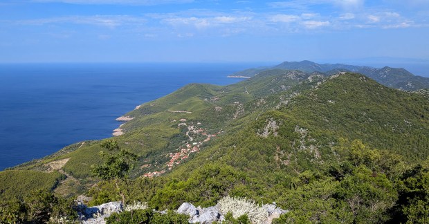 The forested island of Mljet seen from Veliki grad, the highest peak on the island (513 m). Photo by Per Storemyr