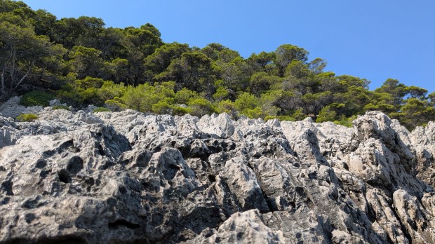 Rugged limestone between the tidal zone and the forest. Photo by Per Storemyr