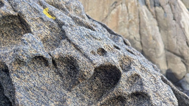 Tafoni i amfibolitt, nærbilde, jfr. det store bildet over. Foto: PS