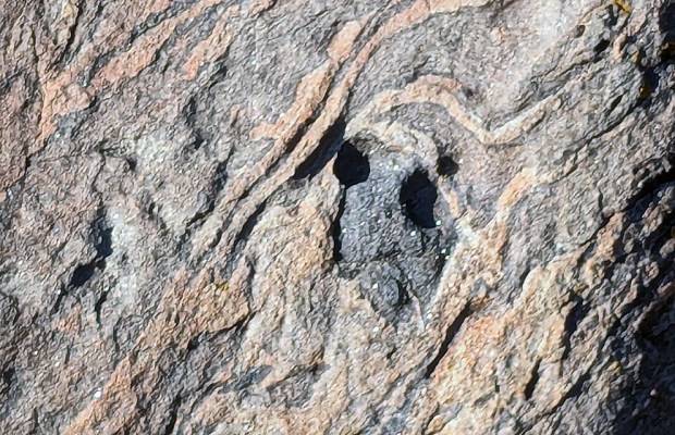 Et surt, stikkende blikk: Tafoni i liten "bolle" av amfibolitt - i en brattkant. Foto tatt på lang avstand: PS