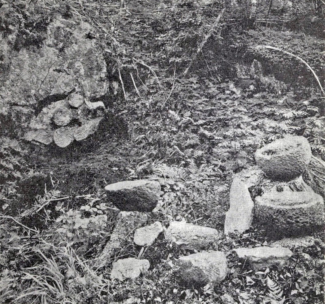 A small part of the Sparsås quarry with finds recovered from the spoil heaps by Helge Jessing in 1922. Photo from Skjølsvold (1961)