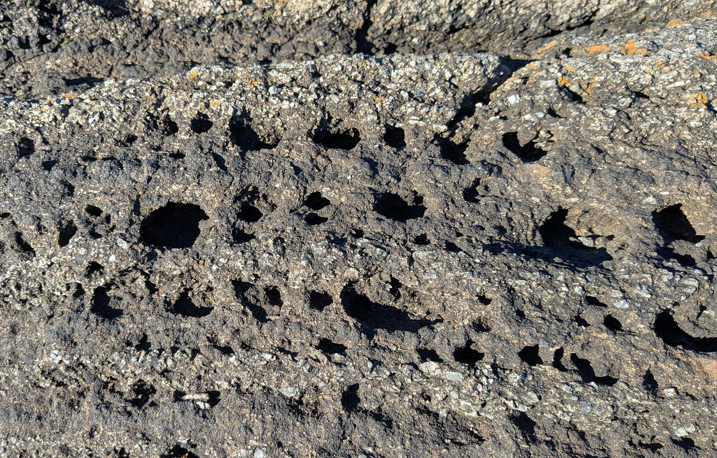 Her kan en ane at tafonihullene stort sett befinner seg i de mørkeste lagene. Foto: PS