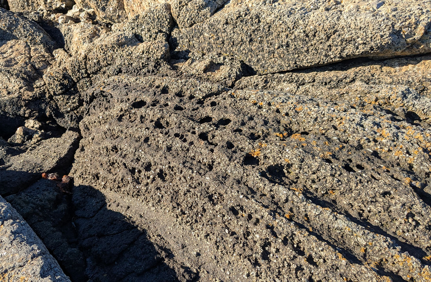 Tafoni på Rakke - knyttet til mørkere lag i larvikitt. Foto: PS