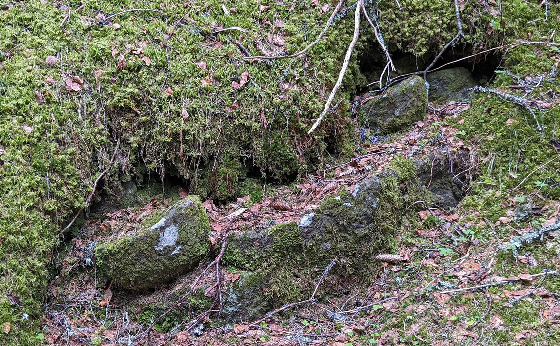 Vessel blanks attached to the bedrock in quarry 2. Photo by PS