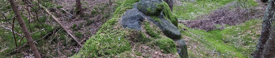 The Sparsås soapstone quarry in Southern Norway, with carved out vessel blanks attached to the bedrock and highly organised spoil heaps in the background. Photo by PS