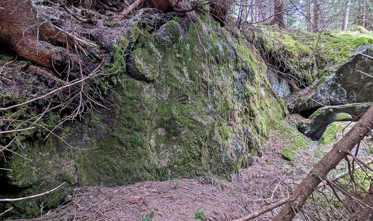 The main quarry face in quarry 1. Photo by PS