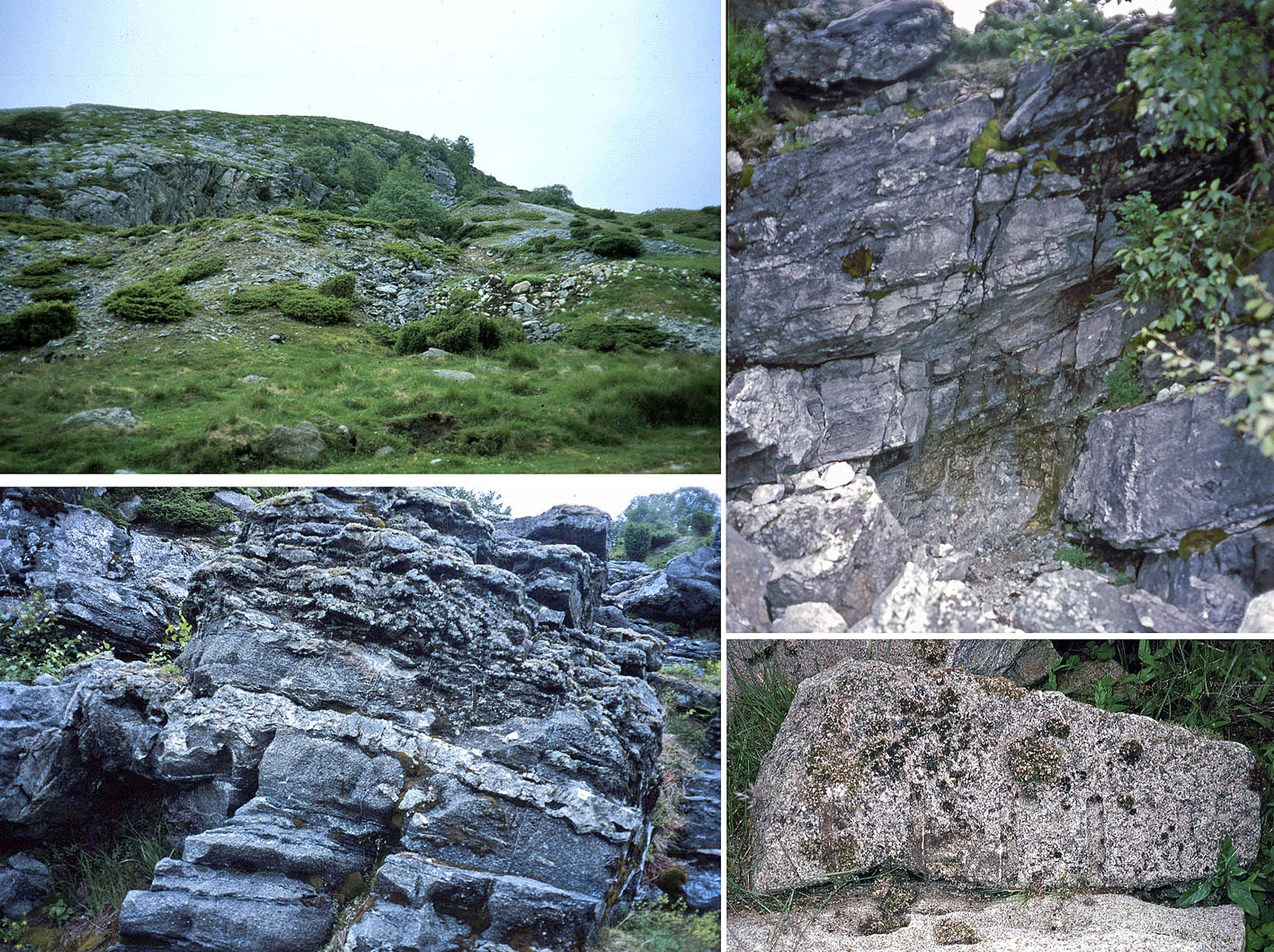 Impressions from the Nordland quarry. Clockwise from top left: 1. Spoil heaps from talc production. 2. Spot with very talc rich rock. Note the greyish white stone and absence of rust-coloured spots. 3. Calcitic marble with serpentine. 4. Layered talc-rich rocks. Photos by PS (1998). See also Storemyr (2000)