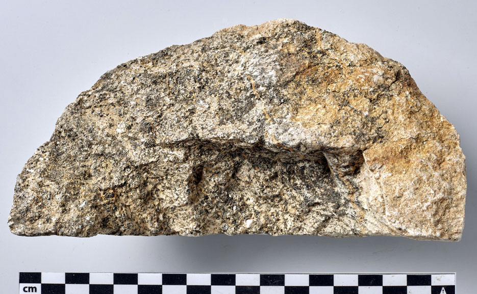 Fragment of an unfinished vessel carved in a less pure variety of soapstone from Østre Vimme. The dark minerals are mica and some tremolite. Photo by Kulturhistorisk Museum, UiO, in digitaltmuseum.no