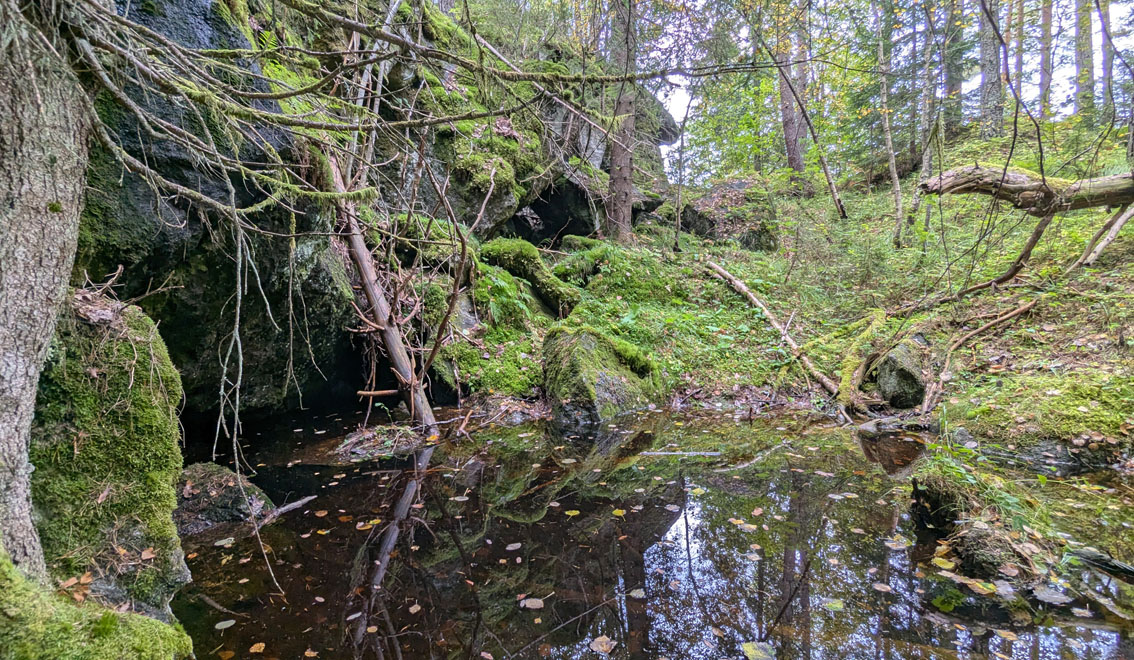 The Østre Vimme quarry as seen from the pond in the eastern part. Photo by PS