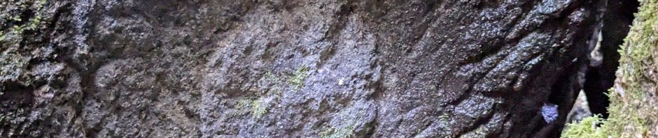 Mark of vessel extraction on the quarry face by the pons in the eastern part. Photo by PS