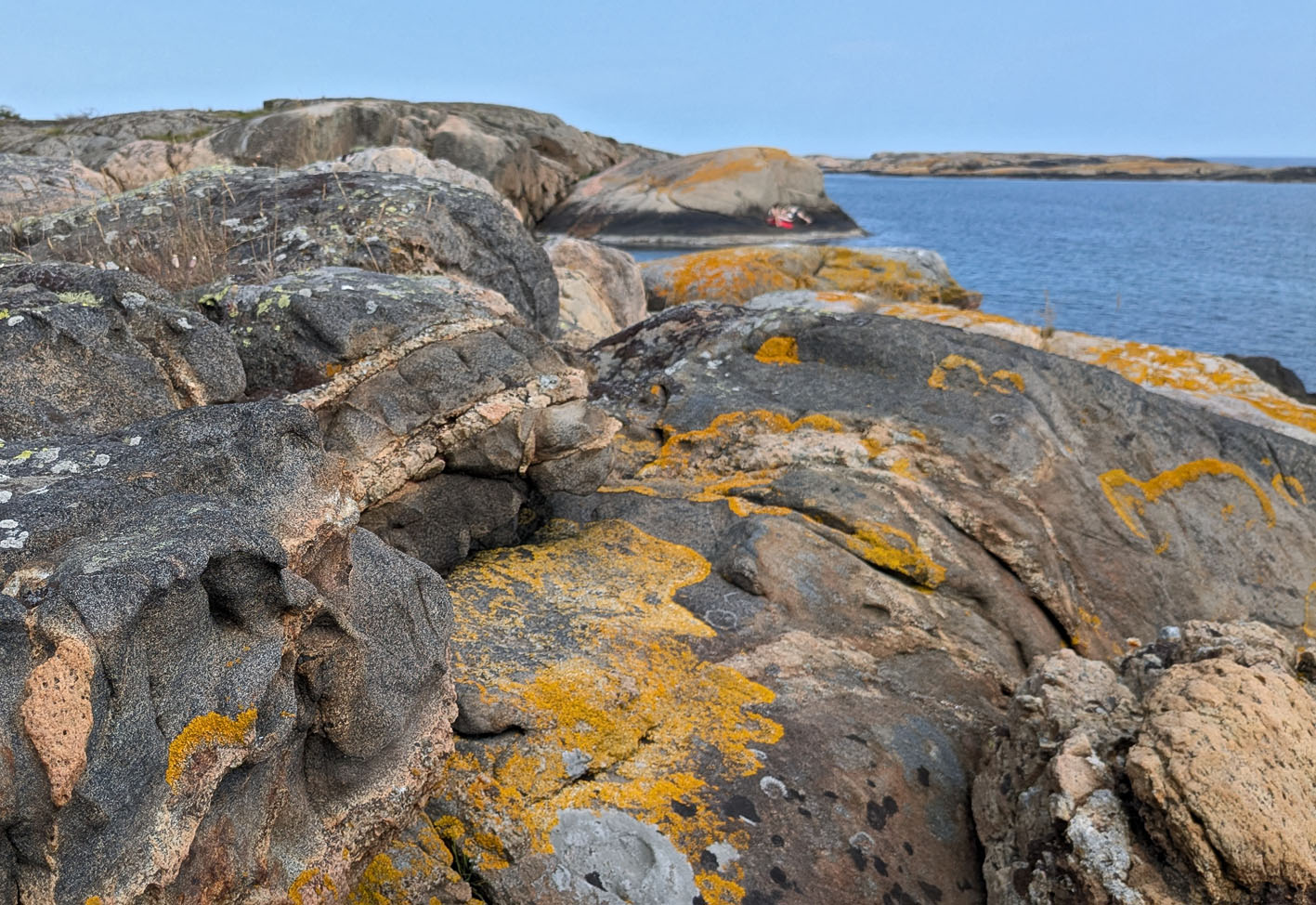 Svaberg på Buskjæra. I forgrunnen tafoni i amfibolitt. Foto: PS