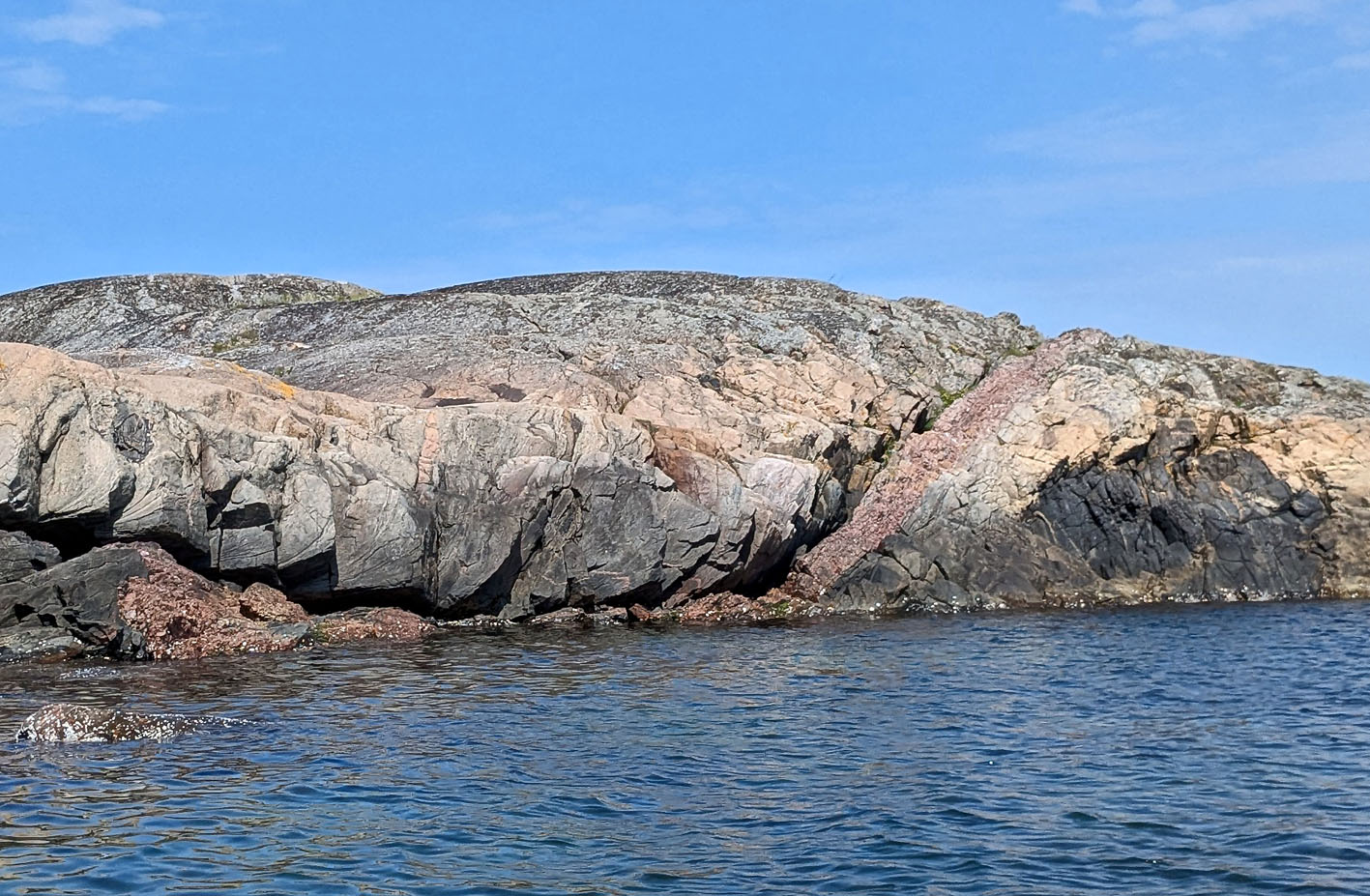 Forkastnings- eller skjærsone som følges av rosa pegmatitt. Store Buskjær. Foto: PS