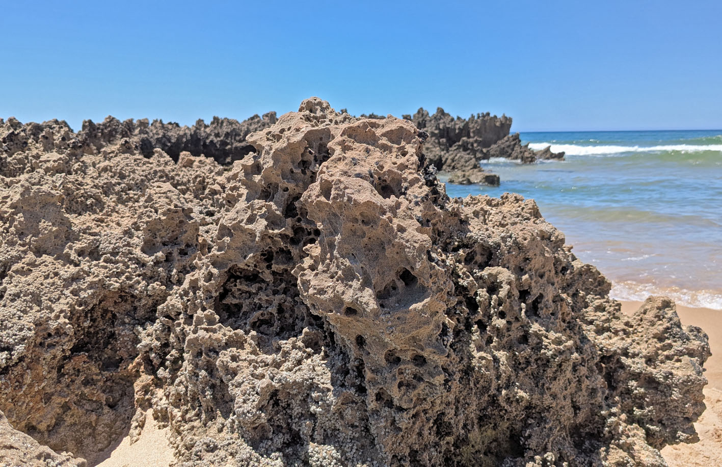 A calcareous sandstone promontory at Amoreira beach, presumably so full of holes because of differential weathering related to rhizoliths. But perhaps tafoni also plays a certain role. Photo by PS