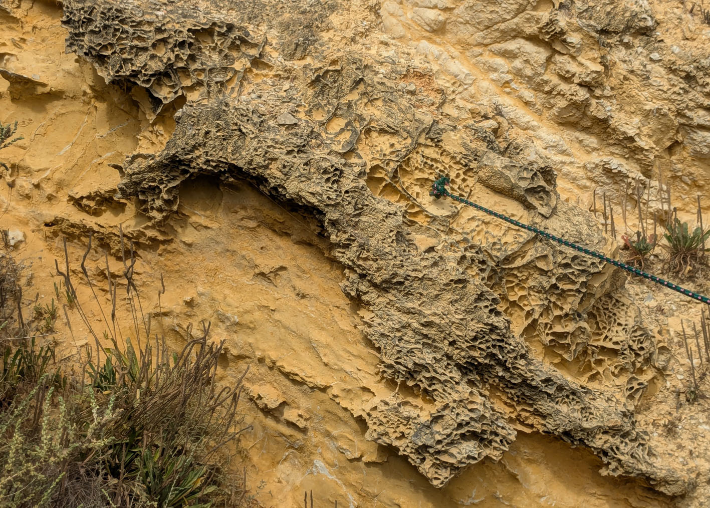 Honeycomb tafoni weathering in young calcareous sandstone. Beliche beach. Photo by PS