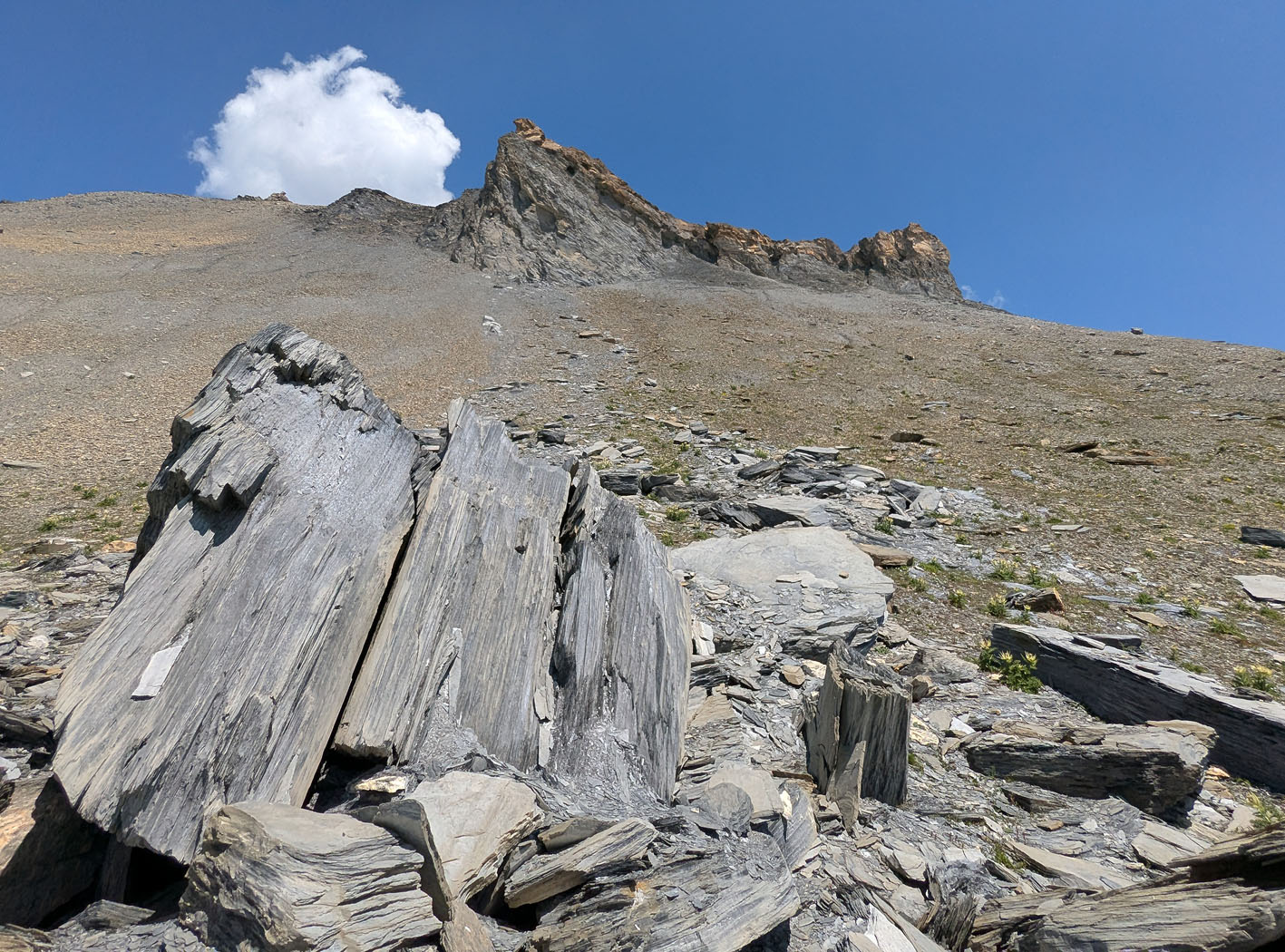 Rockslide from Muttenbergen, some 100 m higher up. Photo by PS