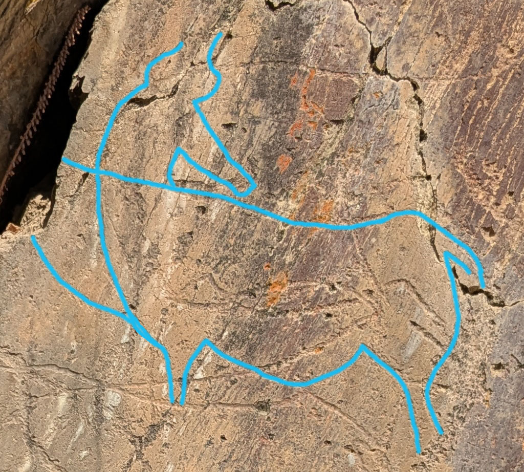 Rock 3 at Penascosa, with auroch “looking over its shoulder”. Photo by PS, tracing adapted from Fernandes 2018