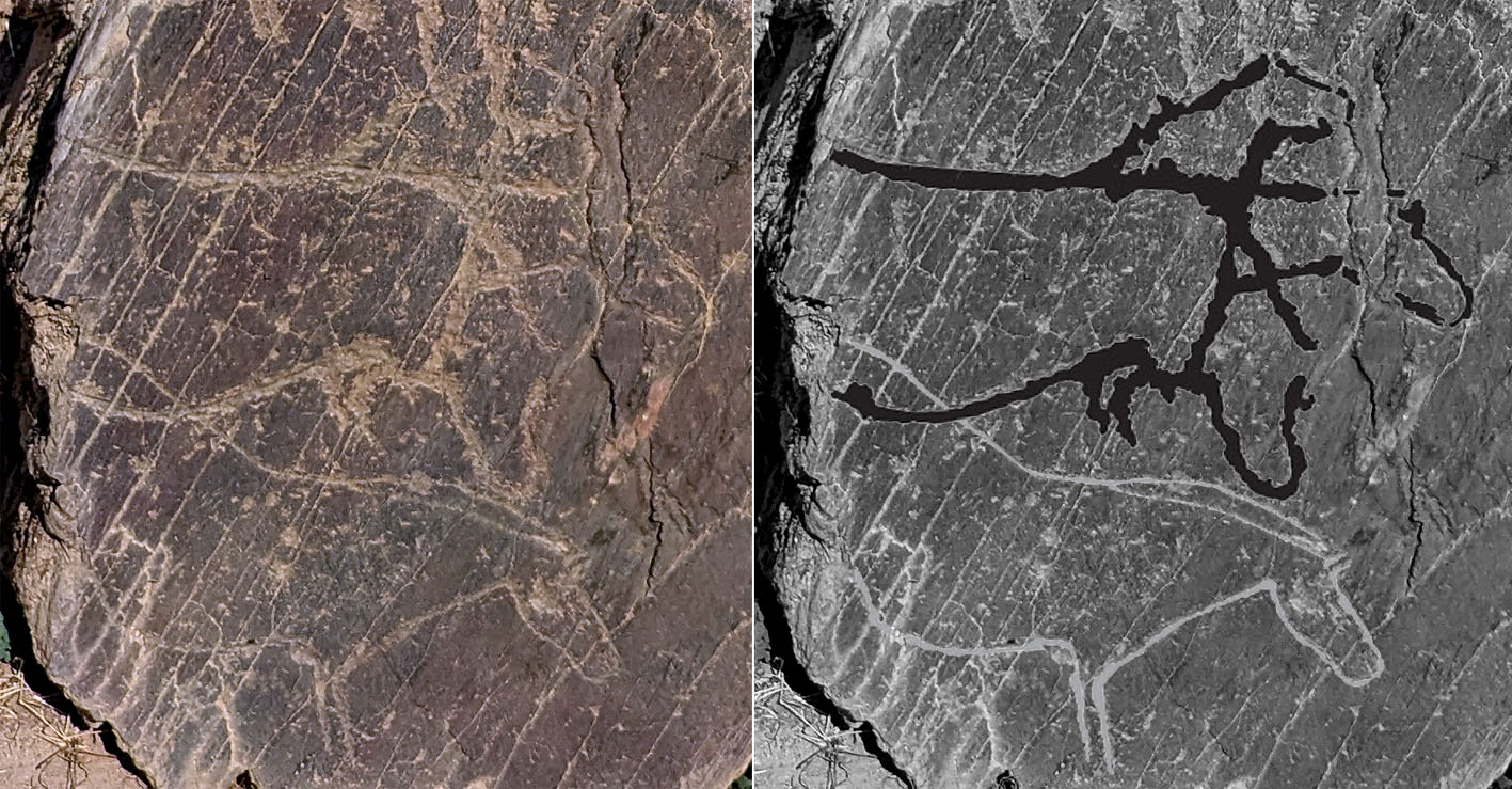 Rock 4 at Penascosa, with a horse’s head shown in 3 different positions. Photo by PS, tracing adapted from Fernandes 2018