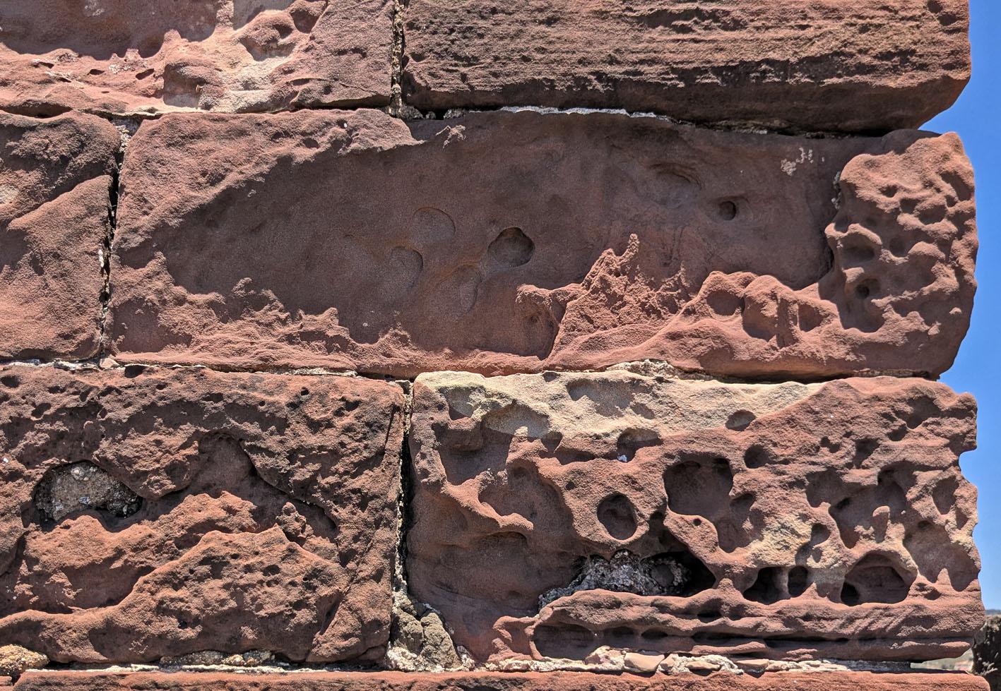 Small-scale cavernous tafoni weathering of Silves sandstone at the Silves medieval castle. Photo by PS