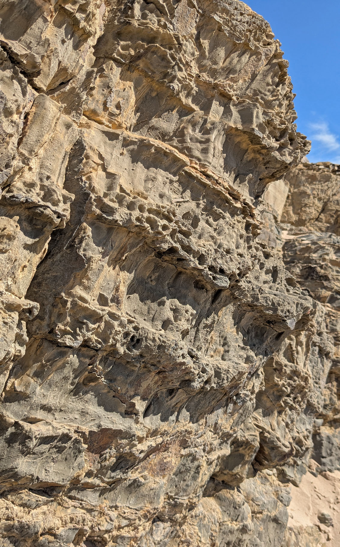 Tafoni in Carbonaceous turbidites at Praia da Amoreira, Costa Vicentina. Photo by PS