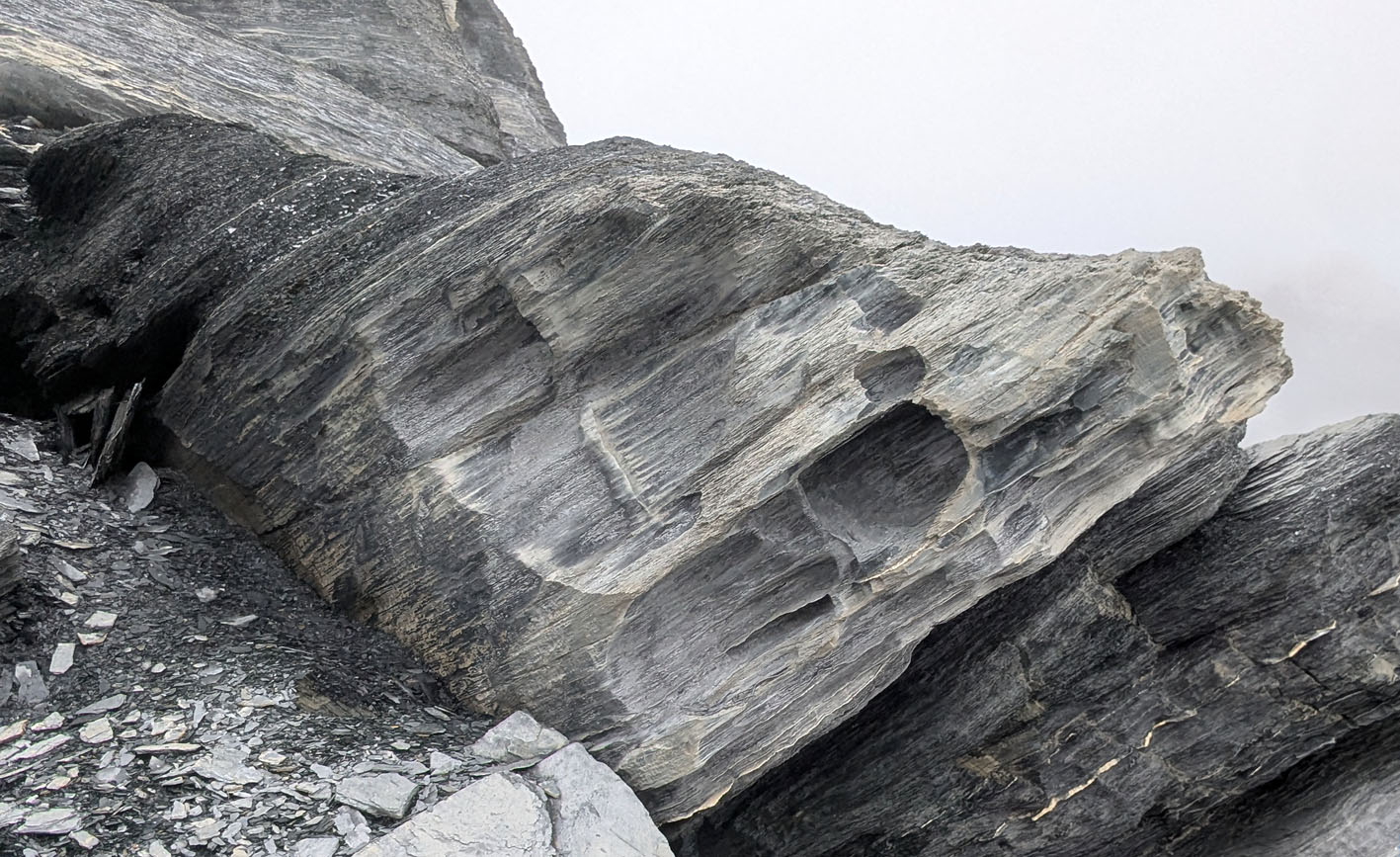 Tafoni on a windy and foggy day in 2025 (Muttenbergen N). Photo by PS