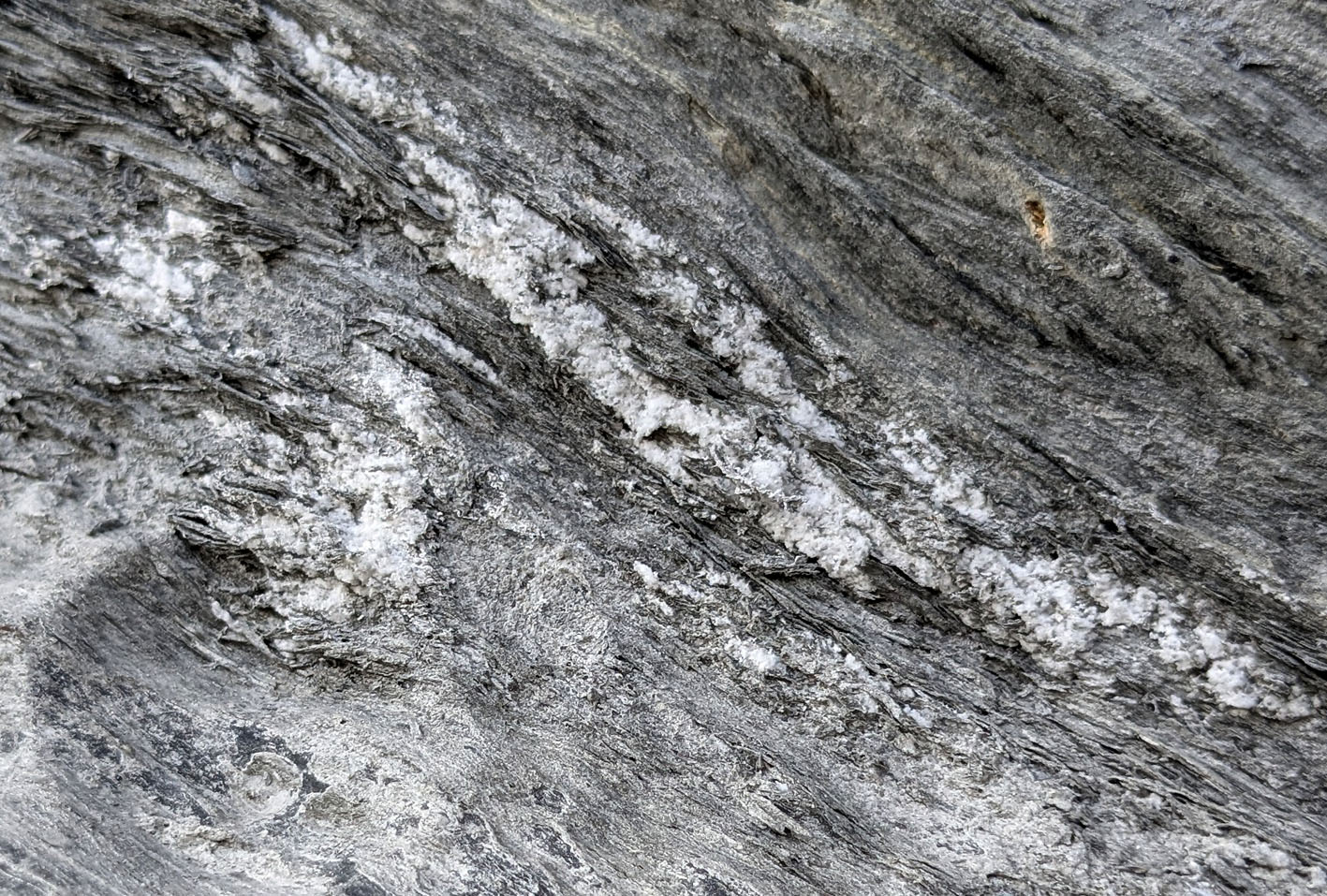 Salt efflorescence in differentially weathered shale (Kistenstöckli S). Photo by PS