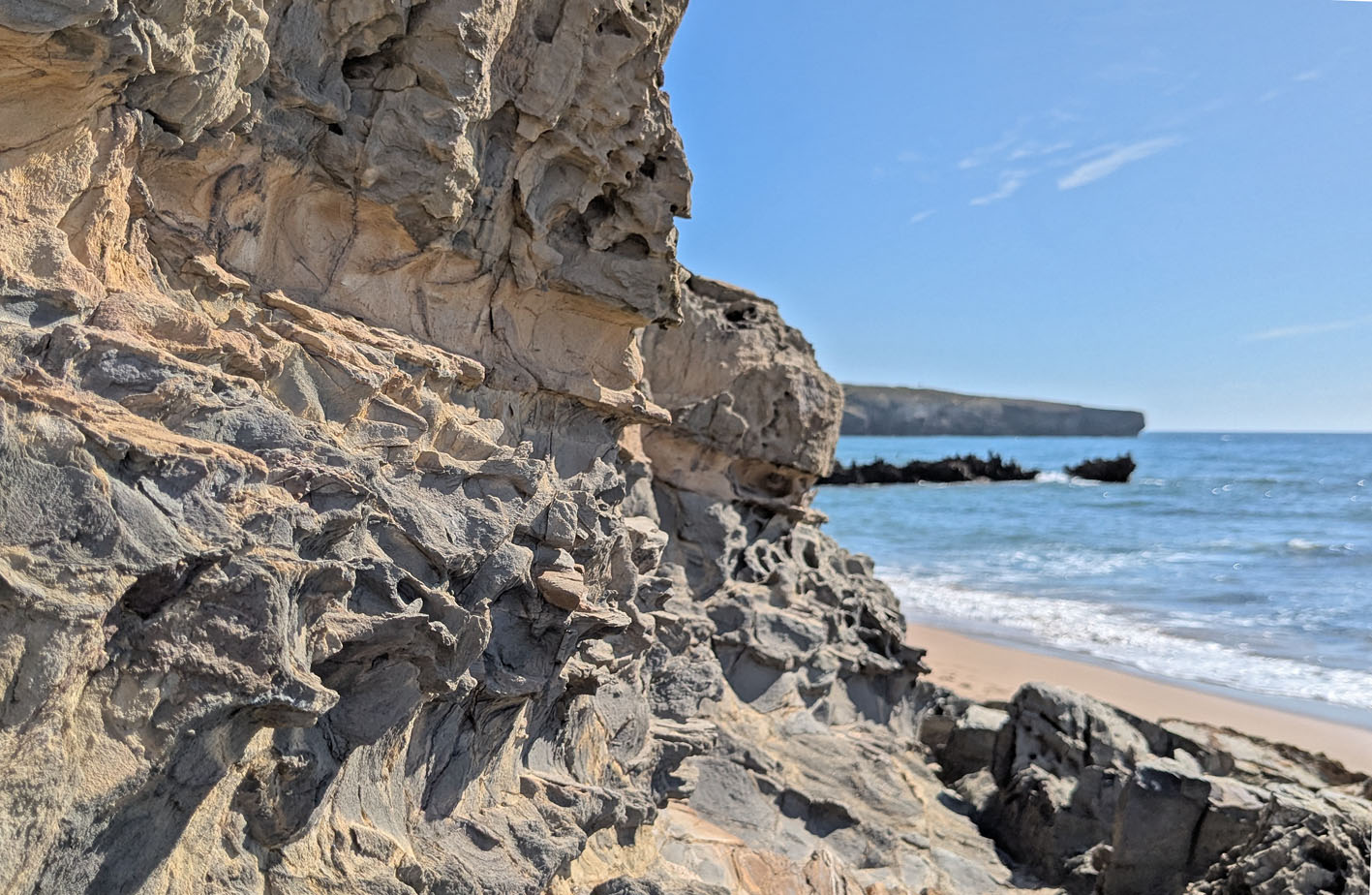 Tafoni in sturdier layers sticking out, while muddy layers retreat by more general salt weathering. Turbidites, Amoreira beach. Photo by PS