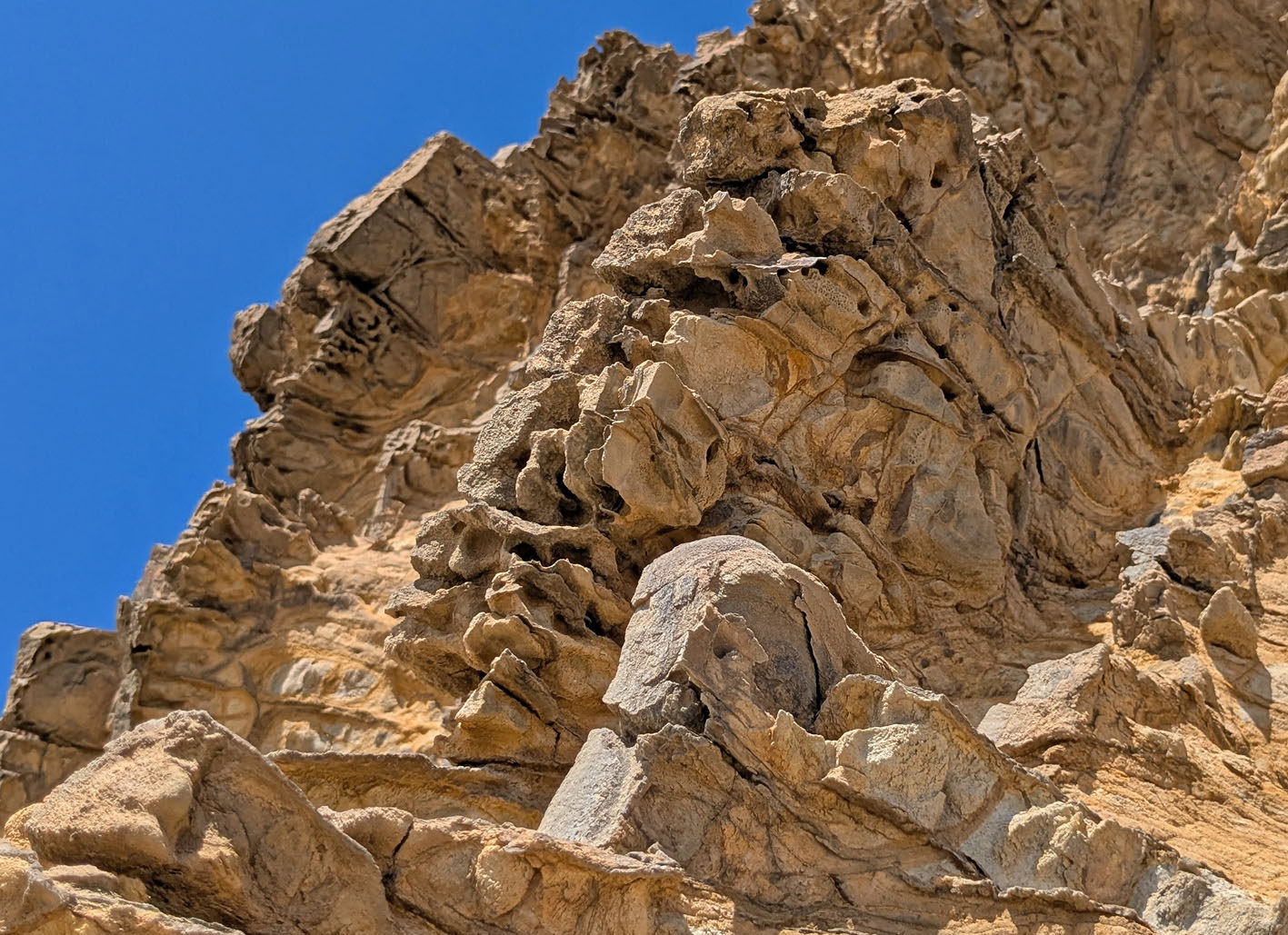 Tafoni in turbidites, Vale Figueiras beach. Photo by PS