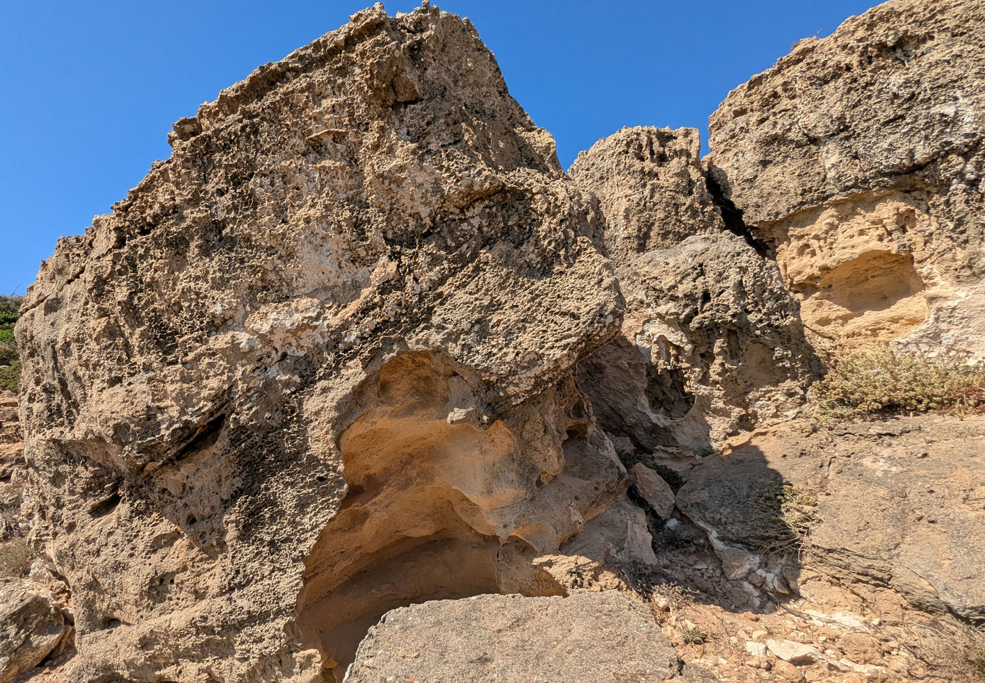 Larger-scale cavernous tafoni (ca. 1 m high). Quaternary carbonaceous sandstone, above Telheiro beach. Photo by PS