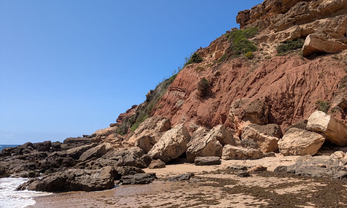 Rock fall at Telheiro beach. It is mainly the young calcareous sandstones at the top of the cliff that have fallen. Photo by PS