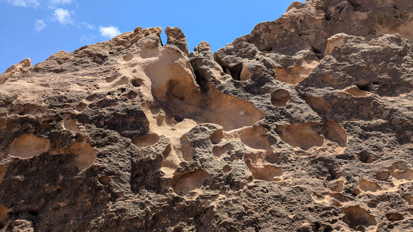 Classic, small-scale cavernous tafoni with case-hardened, darker surface. Quaternary calcareous sandstone, Telheiro beach. Photo by PS